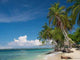 Traumstrand Der Karibik Wall Decal Design 2