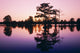 Horseshoe Lake At Dusk Wall Mural