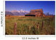 Old Barn, Grand Teton National Park, Wyoming, Usa Wall Mural