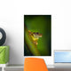 Swamp Frog On Reed Wall Mural