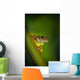 Swamp Frog On Reed Wall Mural