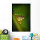 Swamp Frog On Reed Wall Mural