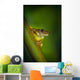 Swamp Frog On Reed Wall Mural