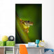 Swamp Frog On Reed Wall Mural