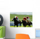 Horse Racing, Ireland Wall Mural