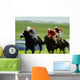Horse Racing, Ireland Wall Mural