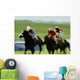 Horse Racing, Ireland Wall Mural