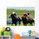 Horse Racing, Ireland Wall Mural
