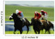 Horse Racing, Ireland Wall Mural