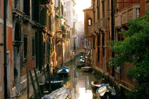 Street Venice Wall Decal Design 2