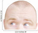 Part Of A Man's Head Looking Sideways Wall Decal