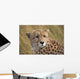 Cheetah Portrait, Masai Mara, Kenya, Africa Wall Mural