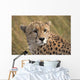 Cheetah Portrait, Masai Mara, Kenya, Africa Wall Mural