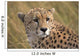 Cheetah Portrait, Masai Mara, Kenya, Africa Wall Mural