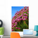 Ireland Wall Mural