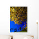 Ards Peninsula, County Donegal, Ireland Wall Mural