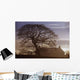 County Tyrone, Ireland Wall Mural