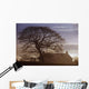 County Tyrone, Ireland Wall Mural