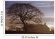 County Tyrone, Ireland Wall Mural