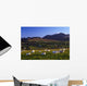 Aughrim Hill, Mourne Mountains, County Down, Ireland Wall Mural