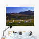 Aughrim Hill, Mourne Mountains, County Down, Ireland Wall Mural
