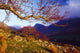 Macgillycuddy's Reeks, County Kerry, Ireland Wall Mural