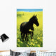 County Tipperary, Ireland Wall Mural