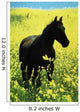 County Tipperary, Ireland Wall Mural