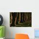 Glenville Woods, County Cork, Ireland Wall Mural