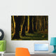 Glenville Woods, County Cork, Ireland Wall Mural