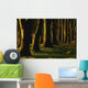 Glenville Woods, County Cork, Ireland Wall Mural