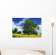 Clonmel, County Tipperary, Ireland Wall Mural