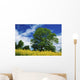 Clonmel, County Tipperary, Ireland Wall Mural