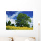 Clonmel, County Tipperary, Ireland Wall Mural