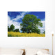 Clonmel, County Tipperary, Ireland Wall Mural