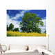 Clonmel, County Tipperary, Ireland Wall Mural