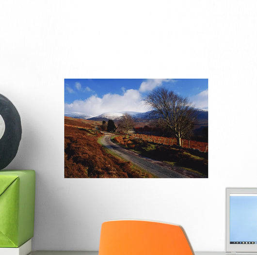 Nire Valley Drive, County Waterford, Ireland Wall Mural