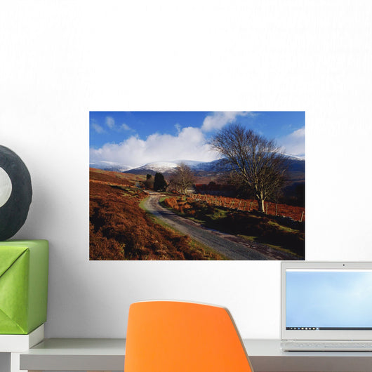 Nire Valley Drive, County Waterford, Ireland Wall Mural