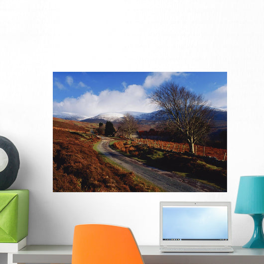 Nire Valley Drive, County Waterford, Ireland Wall Mural