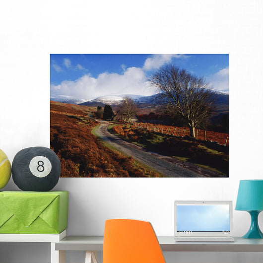 Nire Valley Drive, County Waterford, Ireland Wall Mural
