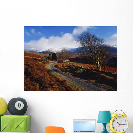 Nire Valley Drive, County Waterford, Ireland Wall Mural