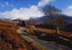 Nire Valley Drive, County Waterford, Ireland Wall Mural