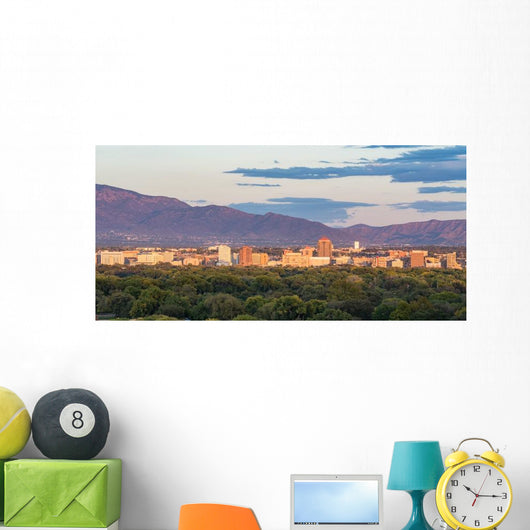 Albuquerque New Mexico Skyline Wall Decal