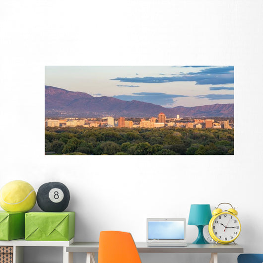 Albuquerque New Mexico Skyline Wall Decal