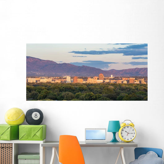 Albuquerque New Mexico Skyline Wall Decal