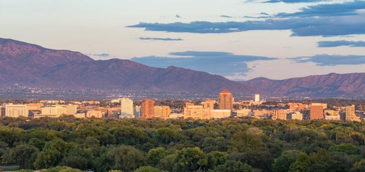 Albuquerque New Mexico Skyline Wall Decal