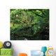 Glengarriff River, County Cork, Ireland Wall Mural
