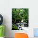 Owengarriff River, Killarney National Park, County Kerry, Ireland Wall Mural