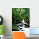 Owengarriff River, Killarney National Park, County Kerry, Ireland Wall Mural