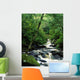 Owengarriff River, Killarney National Park, County Kerry, Ireland Wall Mural